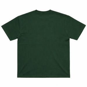 Unisex Regular Fit T-Shirt 170 GSM Cotton Crew Neck Multiple Colours